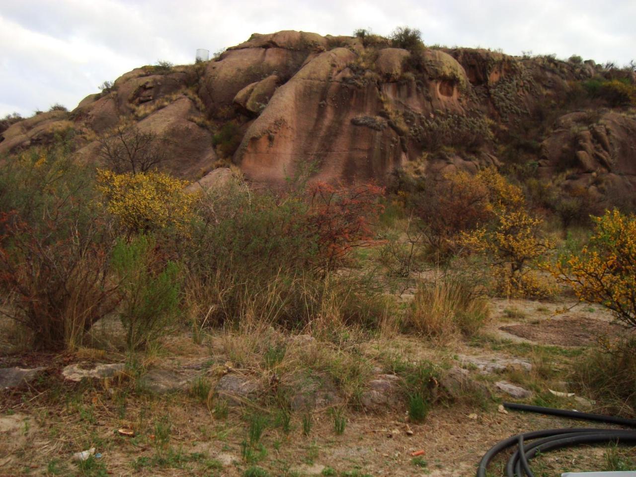 Monte Adentro